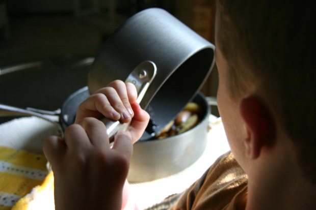 Through Mr. N's eyes