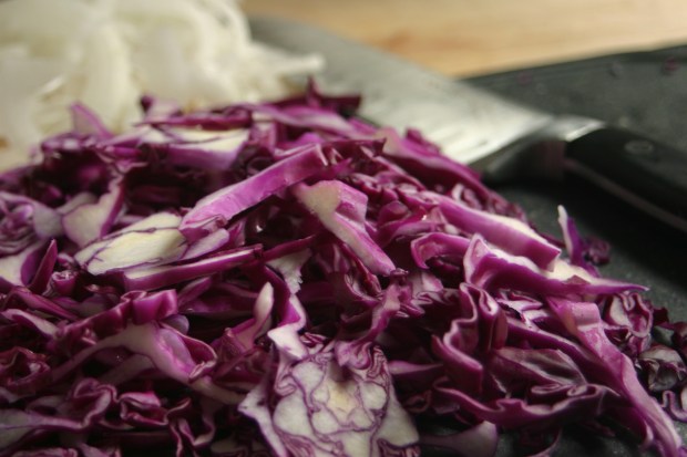 sliced cabbage and onion