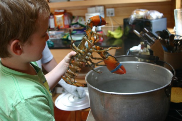 Cookin' the lobster
