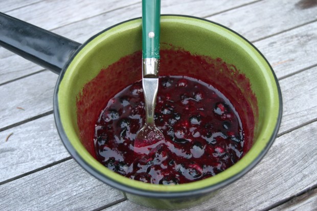 blueberry sauce