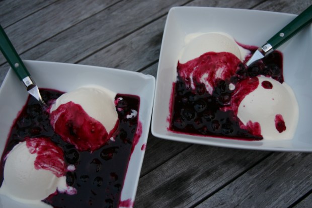 Blueberry Sauce and Vanilla Ice Cream
