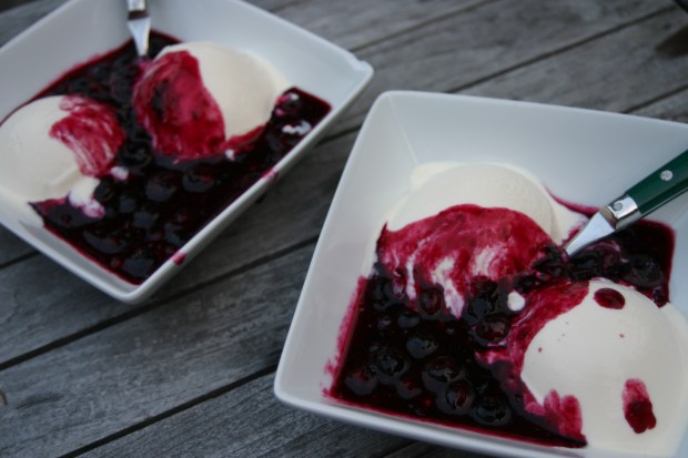 Maine Blueberry Sauce