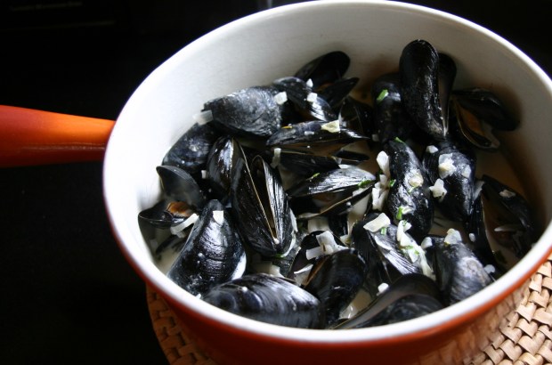 Mussels in White Wine Cream Sauce
