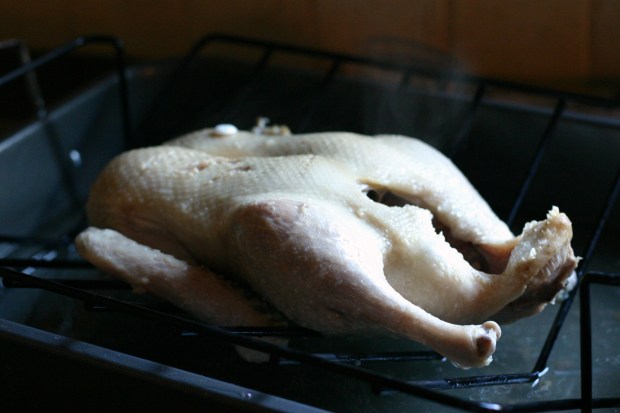roasting duck