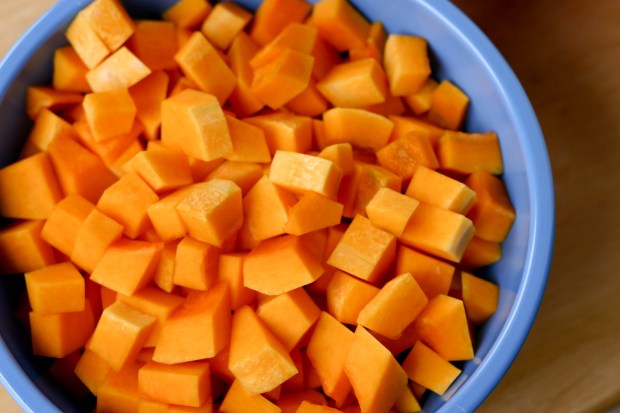 butternut squash