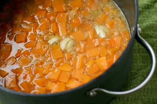 squash soup