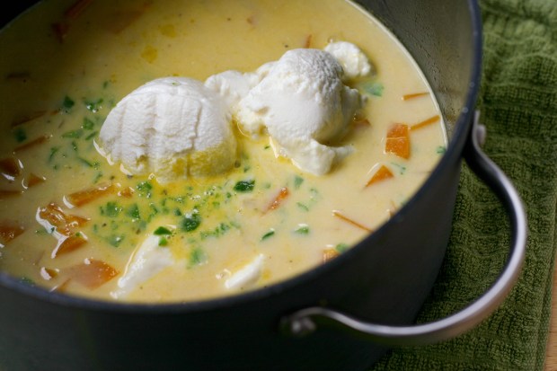 creamy soup