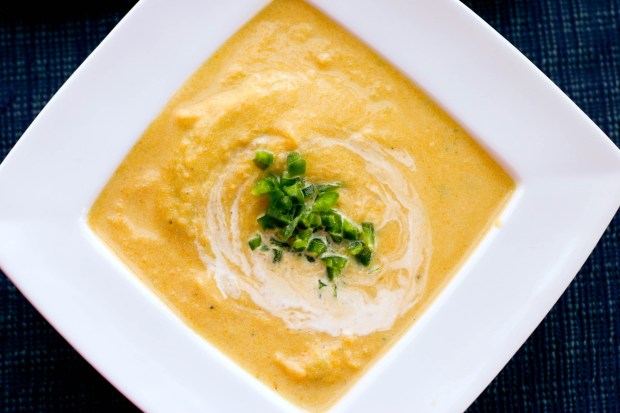 butternut squash soup
