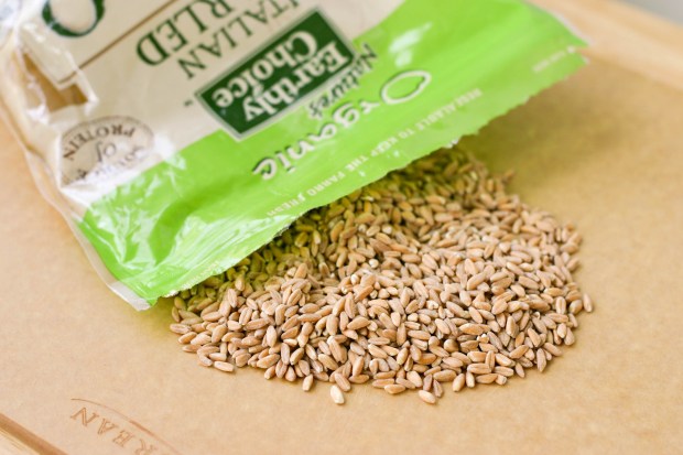 farro grains