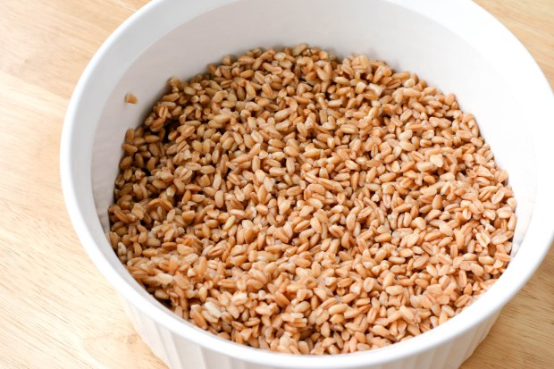 cooked farro
