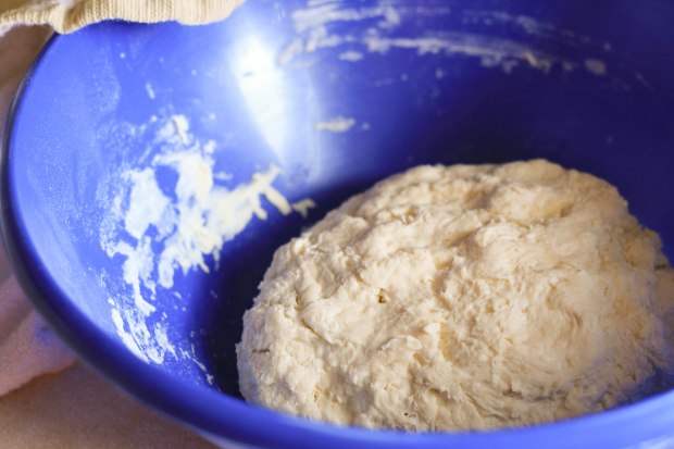 white bread dough