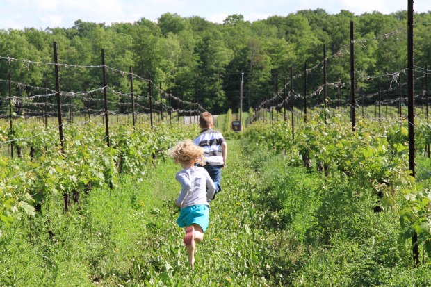 Who can get to the end of the row fastest?