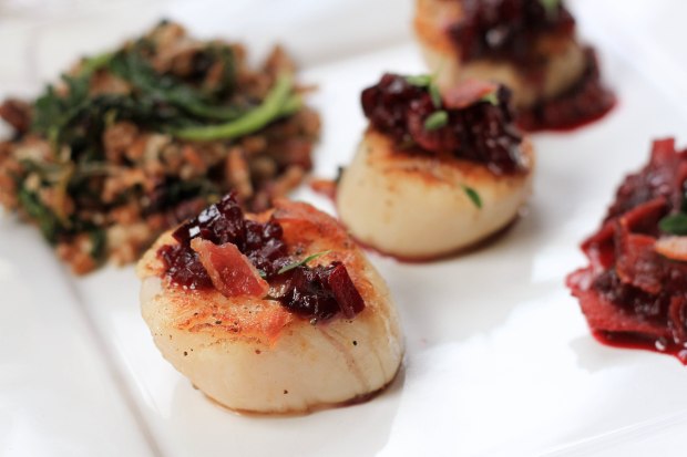 seared scallops