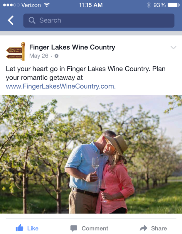 cherry blossom shoot