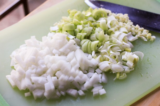 leeks and onion